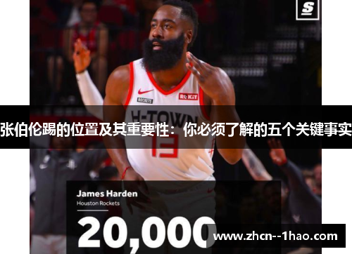 张伯伦踢的位置及其重要性：你必须了解的五个关键事实