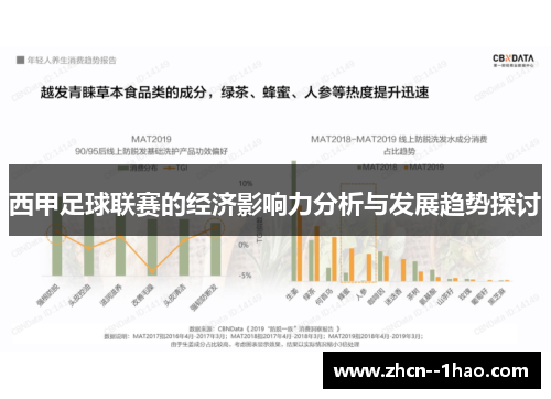 西甲足球联赛的经济影响力分析与发展趋势探讨
