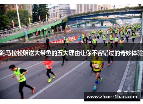跑马拉松赠送大带鱼的五大理由让你不容错过的奇妙体验 跑马拉松赠送大带鱼的五大理由让你不容错过的奇妙体验