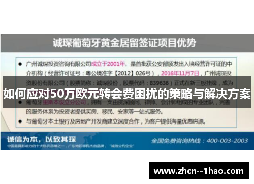 如何应对50万欧元转会费困扰的策略与解决方案
